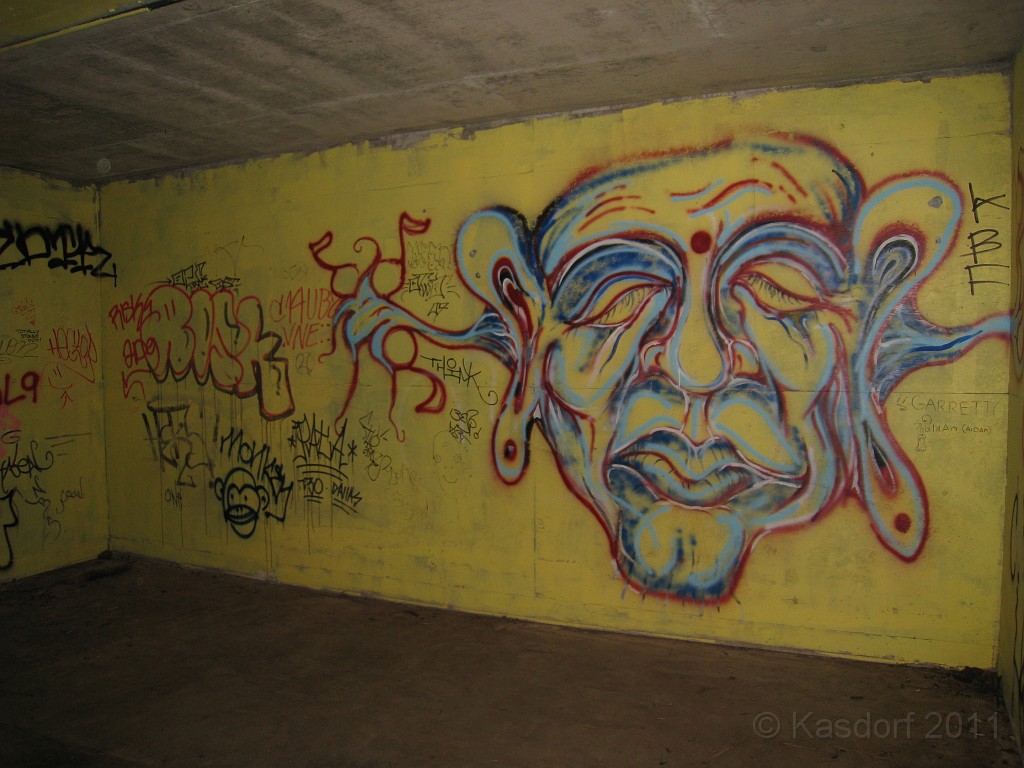 2011 Bay 2 Breakers Friday 0595.JPG - I was able to participate in the 100th annual running of the Bay to Breakers 12K race in San Francisco California. A weekend for sightseeing and racing.